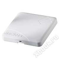 Ruckus Wireless 9U1-T310-XX20